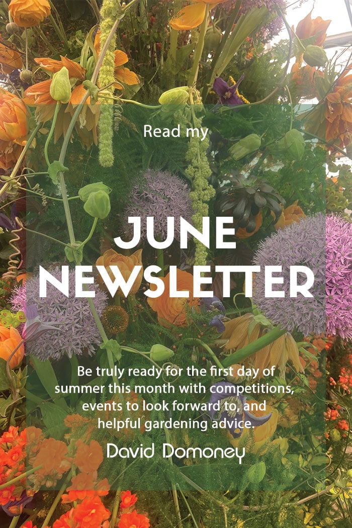 June 2023 Newsletter feature