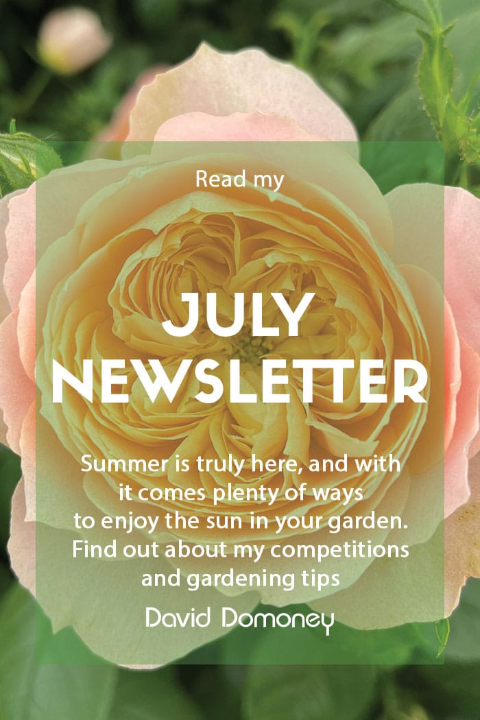 July newsletter feature 2023