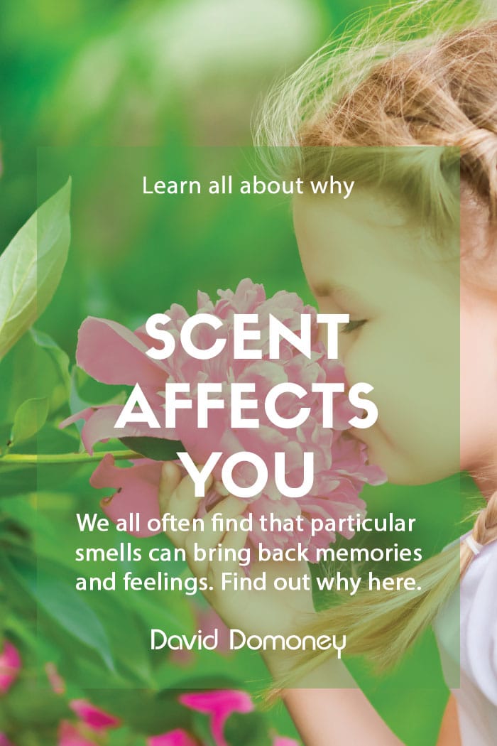 Scent and the body feature