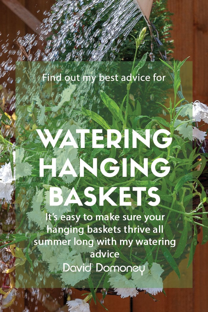How to water hanging baskets feature