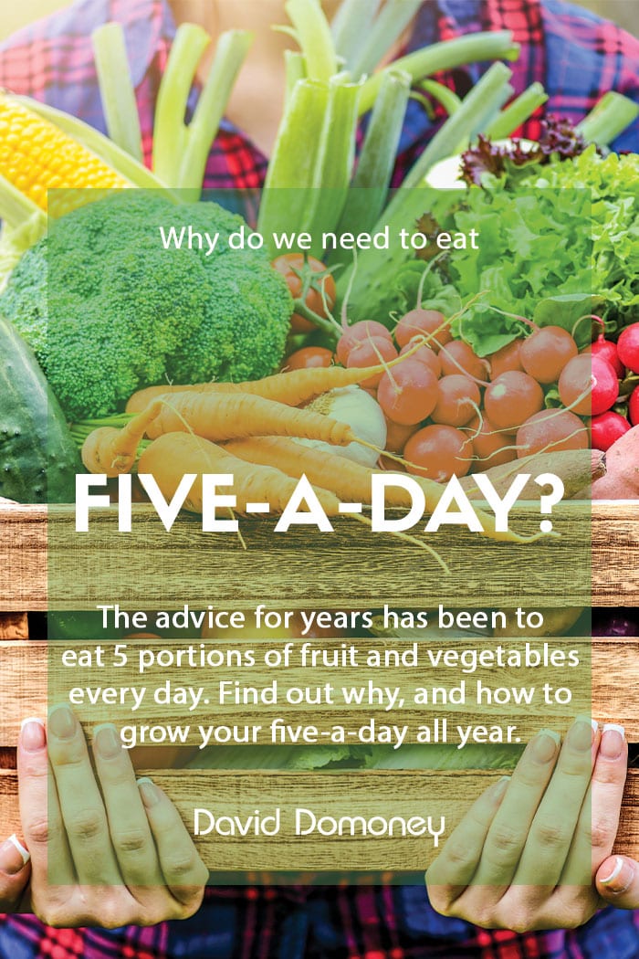 Five a day feature