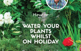 How to water your plants whilst on holiday.