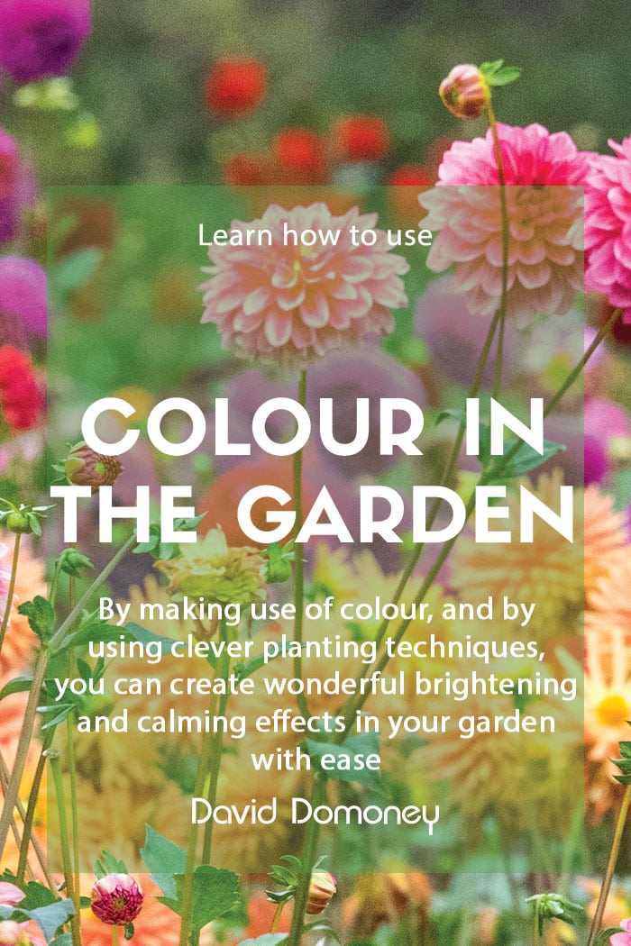 how to make use of colour in the garden blog feature