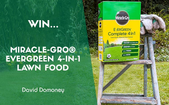 Miracle gro 4-in-1 competition