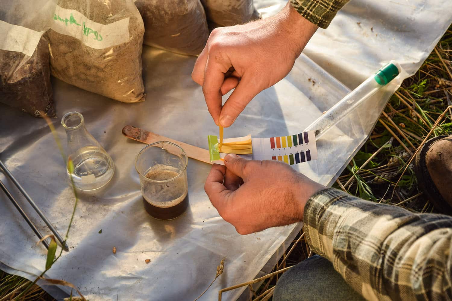 Soil pH test