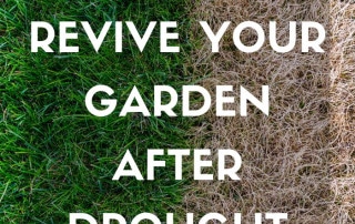 Revive garden after drought feature