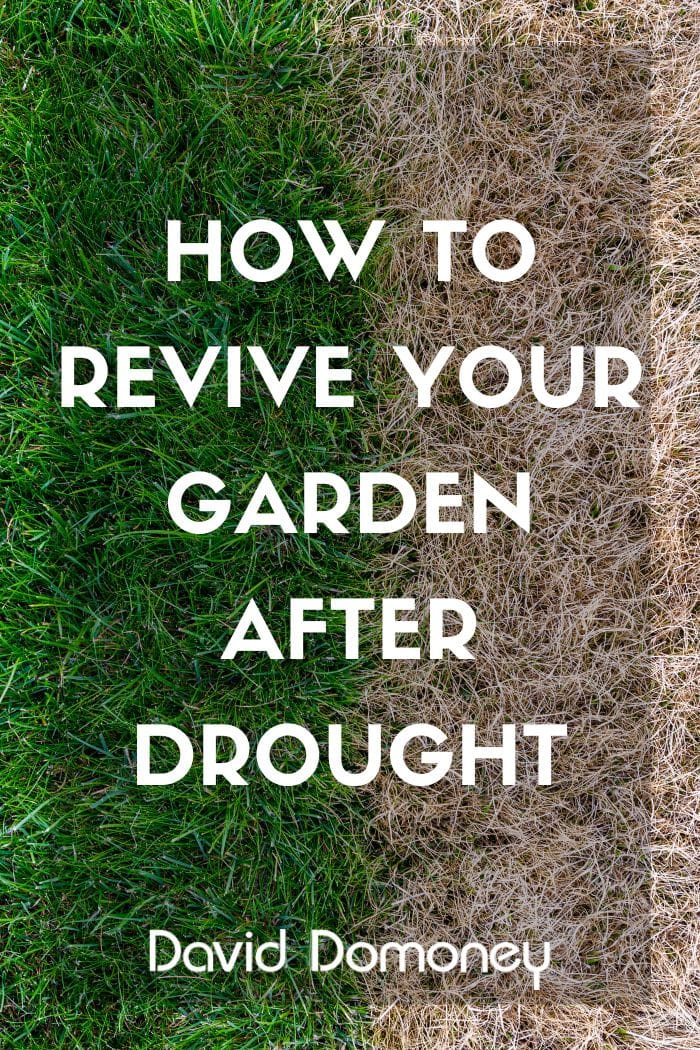 Revive garden after drought feature