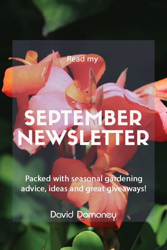 September newsletter feature 2023