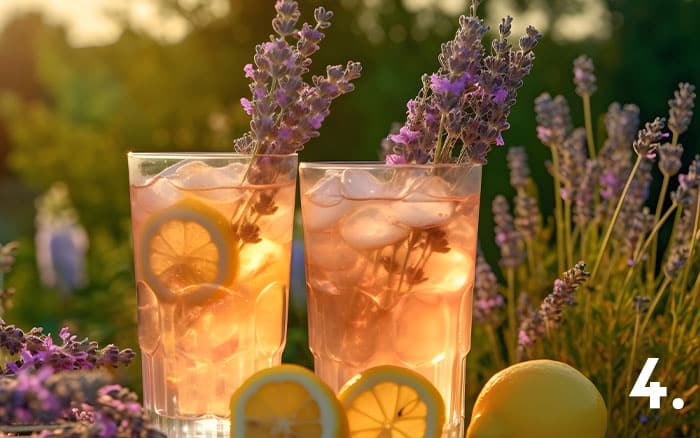 lavender cocktail