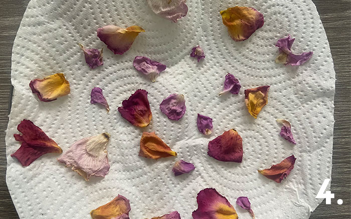 How to dry out rose petals - David Domoney