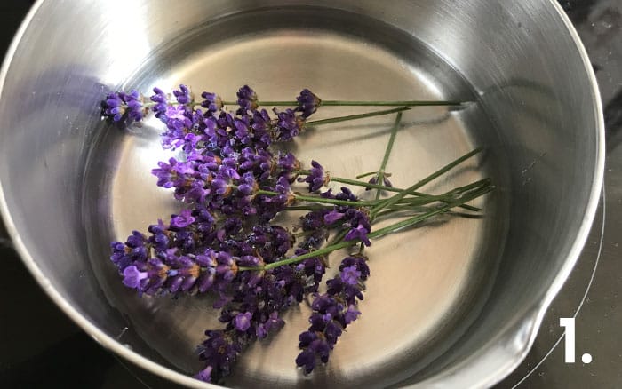 Lavender in a pot