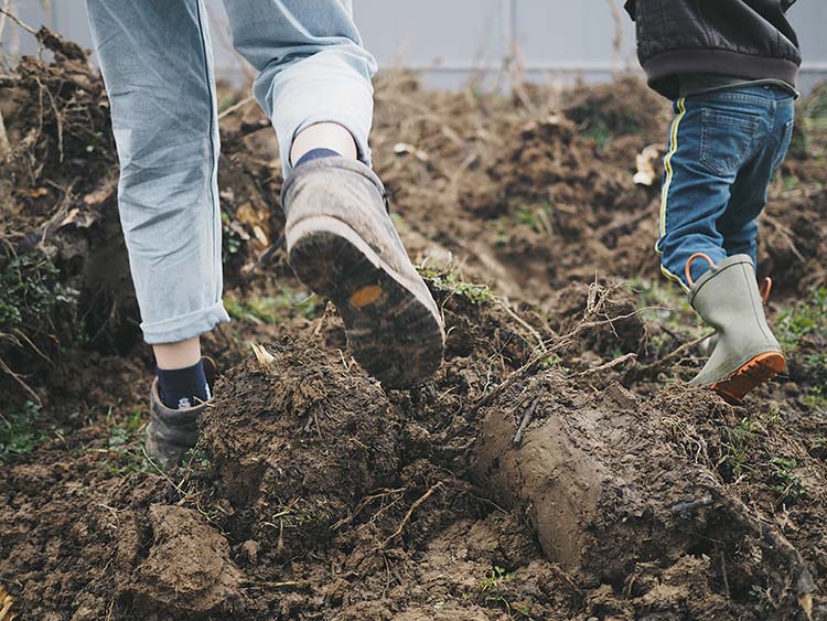 Walking over gardening soil