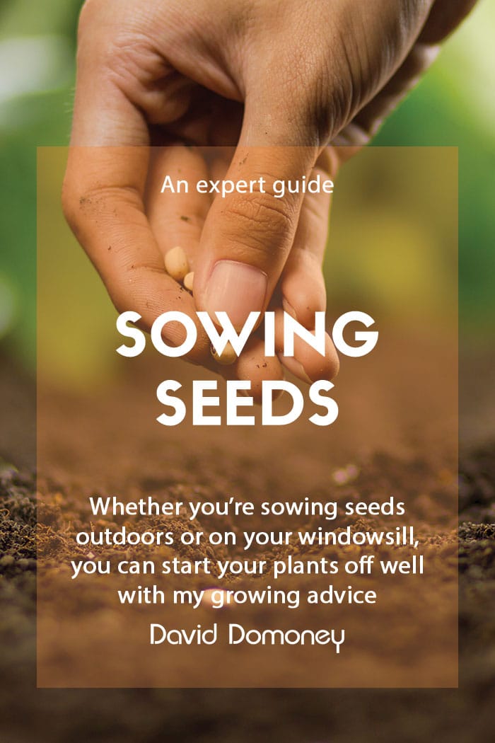 Sowing seeds like an expert feature