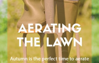 How when and why to aerate the lawn feature