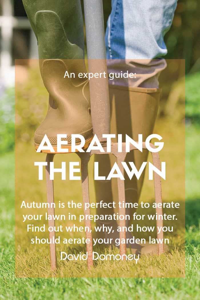 How when and why to aerate the lawn feature