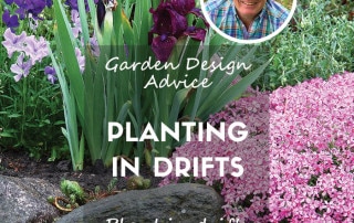 planting in drifts feature