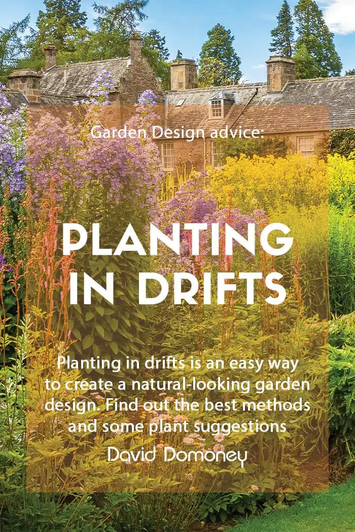 How to plant in drifts feature image