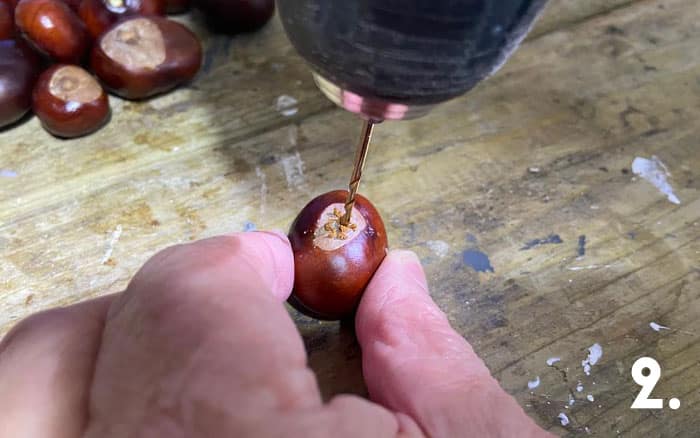 Tip 2 pick out the best conkers and drill holes into them