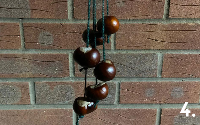 Tip 4 play a game of conkers