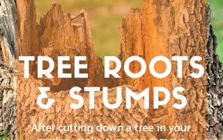 Tree root and stump removal feature