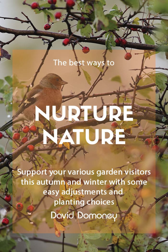 Nuture nature blog feature image