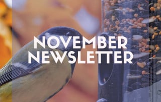 November 23 newsletter blog feature