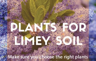 plants for alkaline soil plants for purpose november 23 blog feature