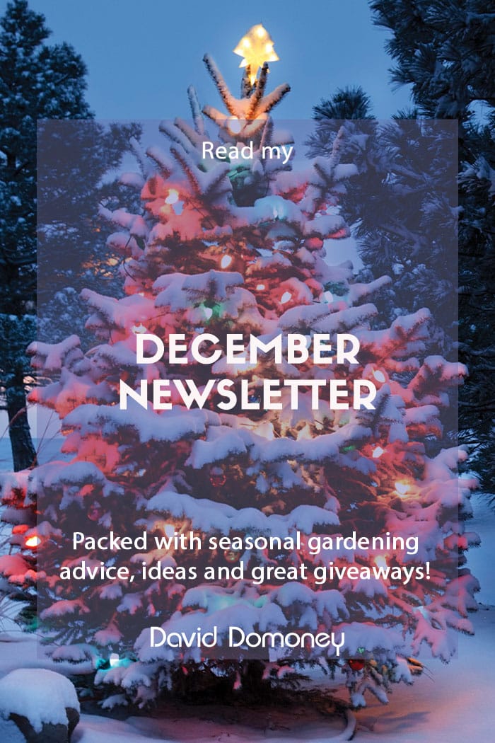 December newsletter feature