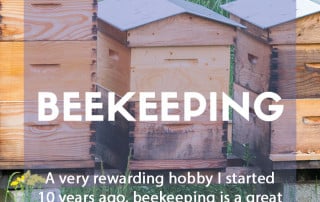 expert guide to being a beekeeper blog feature image