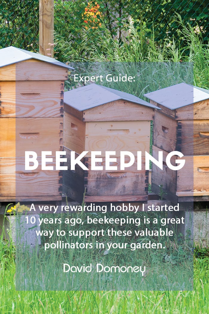 expert guide to being a beekeeper blog feature image
