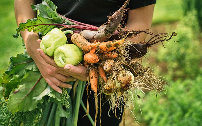 holding vegetables as a beginner