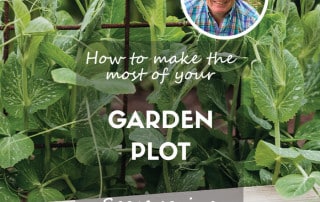 Garden plot feature