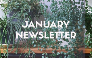 January newsletter blog feature image 2024