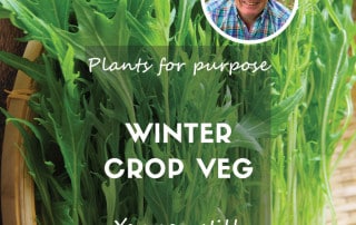 Winter crop plants for purpose feature