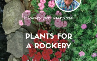 Plants for a rockery feature blog