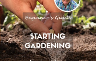 feature beginner gardening january