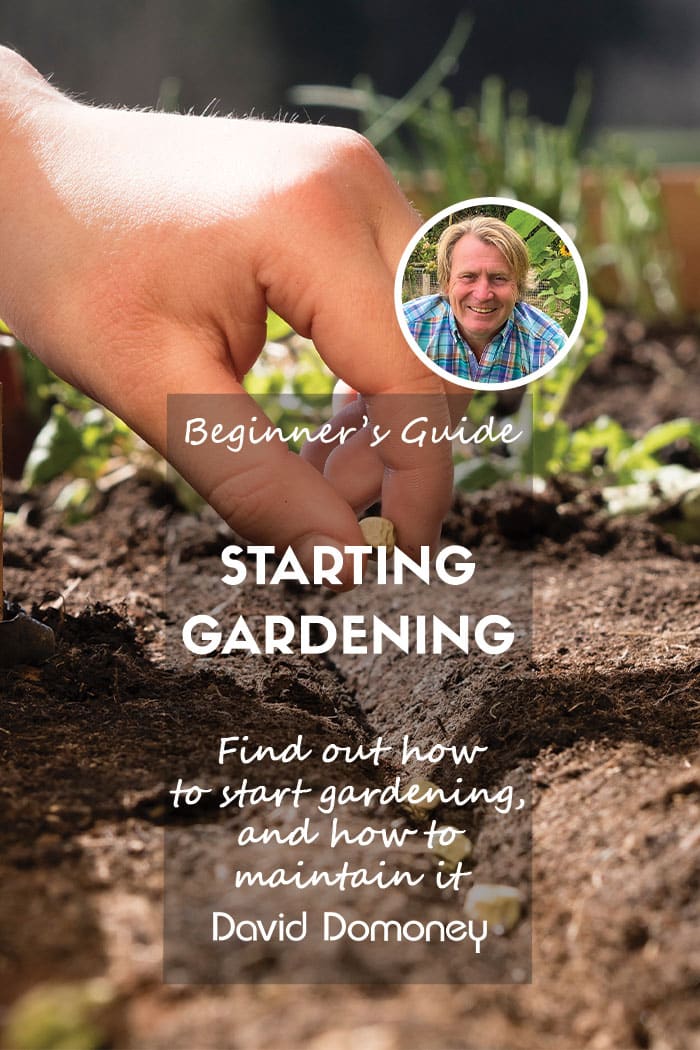 feature beginner gardening january