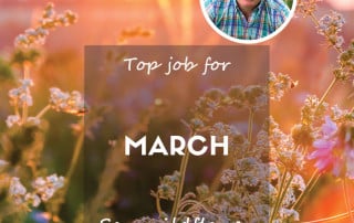 blog feature march 24 top job wildflowers