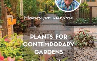 P4P plants for contemporary gardens feature blog