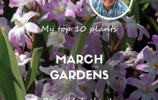 March blog feature top ten plants for march gardens
