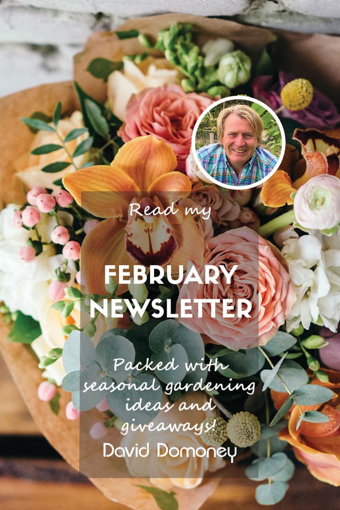 Newsletter feature feb 2024