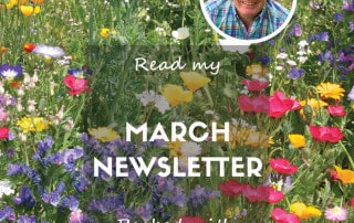 March website feature newsletter 2024