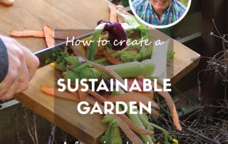 Sustainable gardening blog feature image