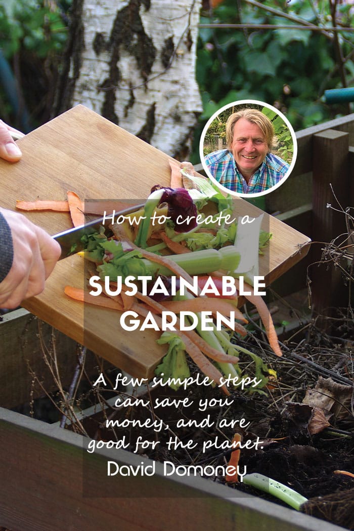Sustainable gardening blog feature image