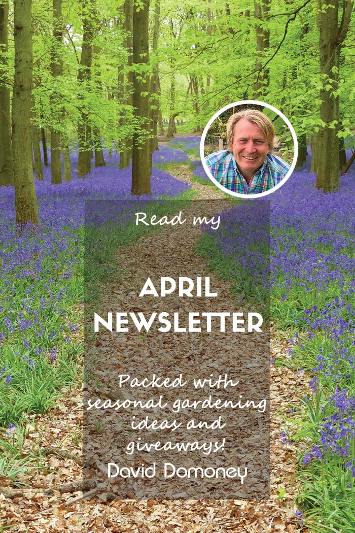 April newsletter 2024 feature blog