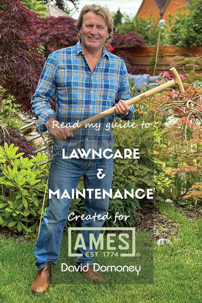 Lanwcare and maintenance