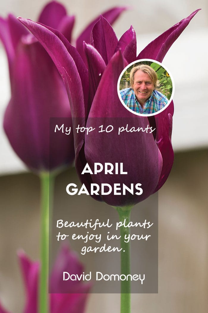 Top 10 april gardens feature blog 2024