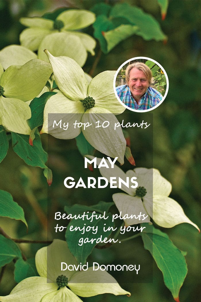 May Gardens Feature 2024 Blog