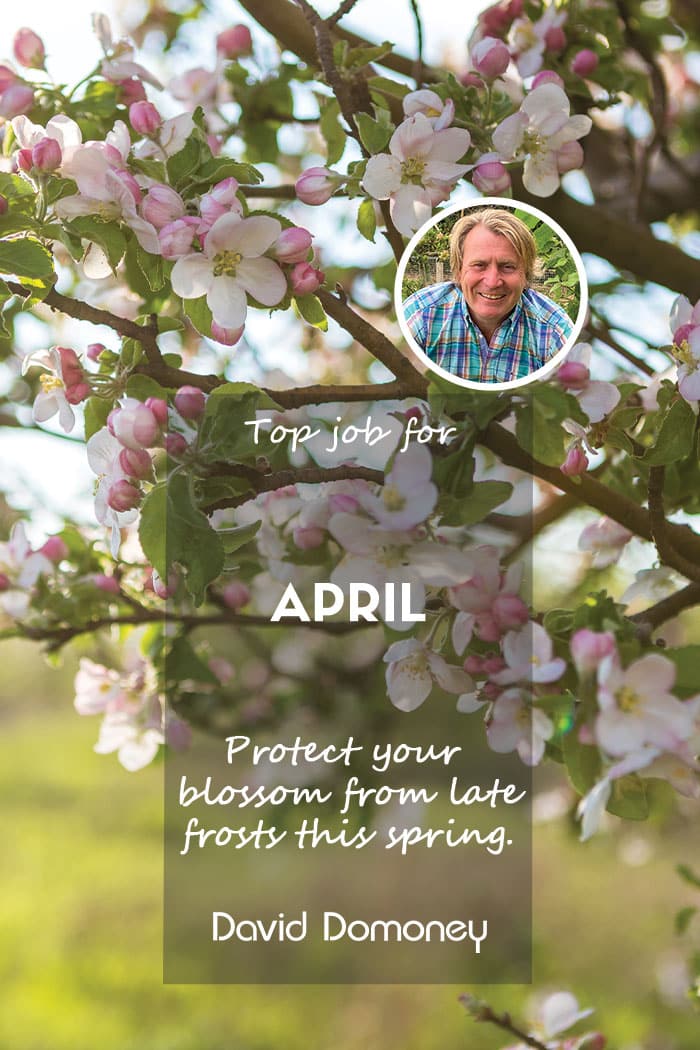 Top Job Blossom April Feature 24