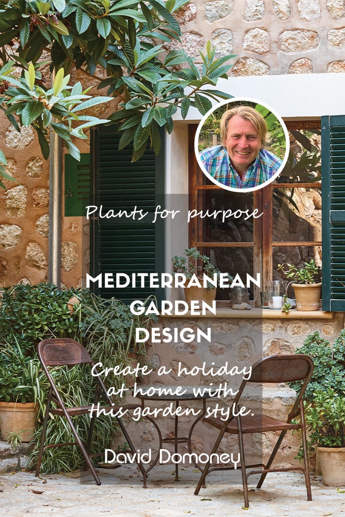 Mediterranean garden design plants for purpose feature